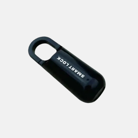 Fingerprint Luggage Lock